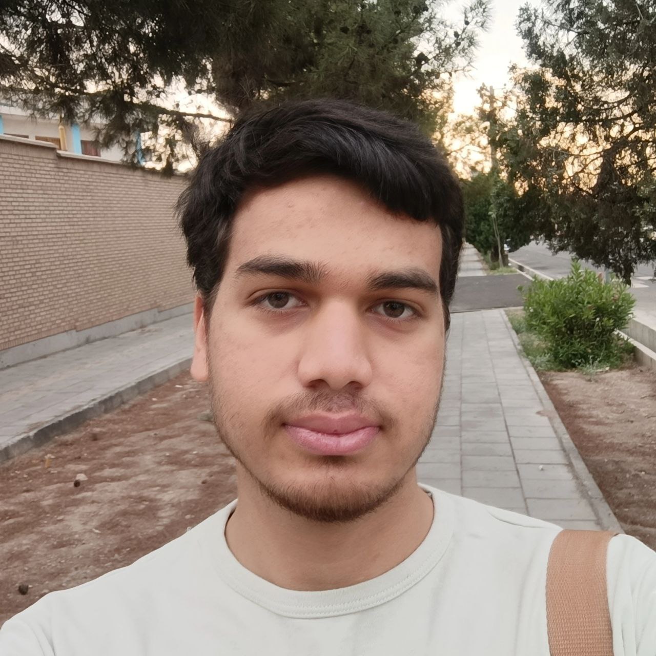 عکس پروفایل محمدمهدی شریفی - برنامه‌نویس و پنتستر